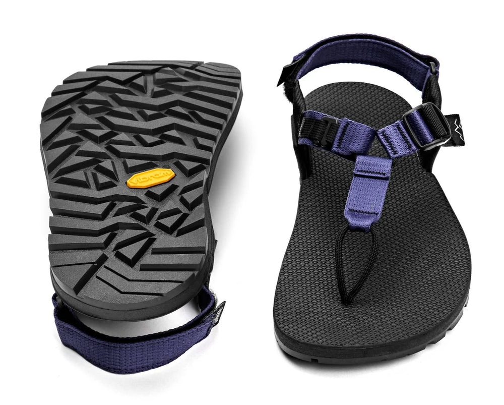 Bedrock Cairn Evo - lupine purple