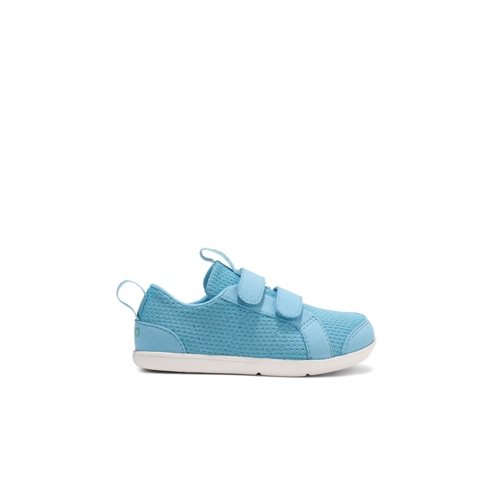 Xero Shoes Dillon Knit Little Kids - milky blue