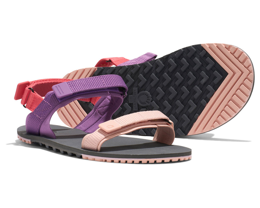 Xero Shoes D-Trail Sandale (Damen) - dewberry multi
