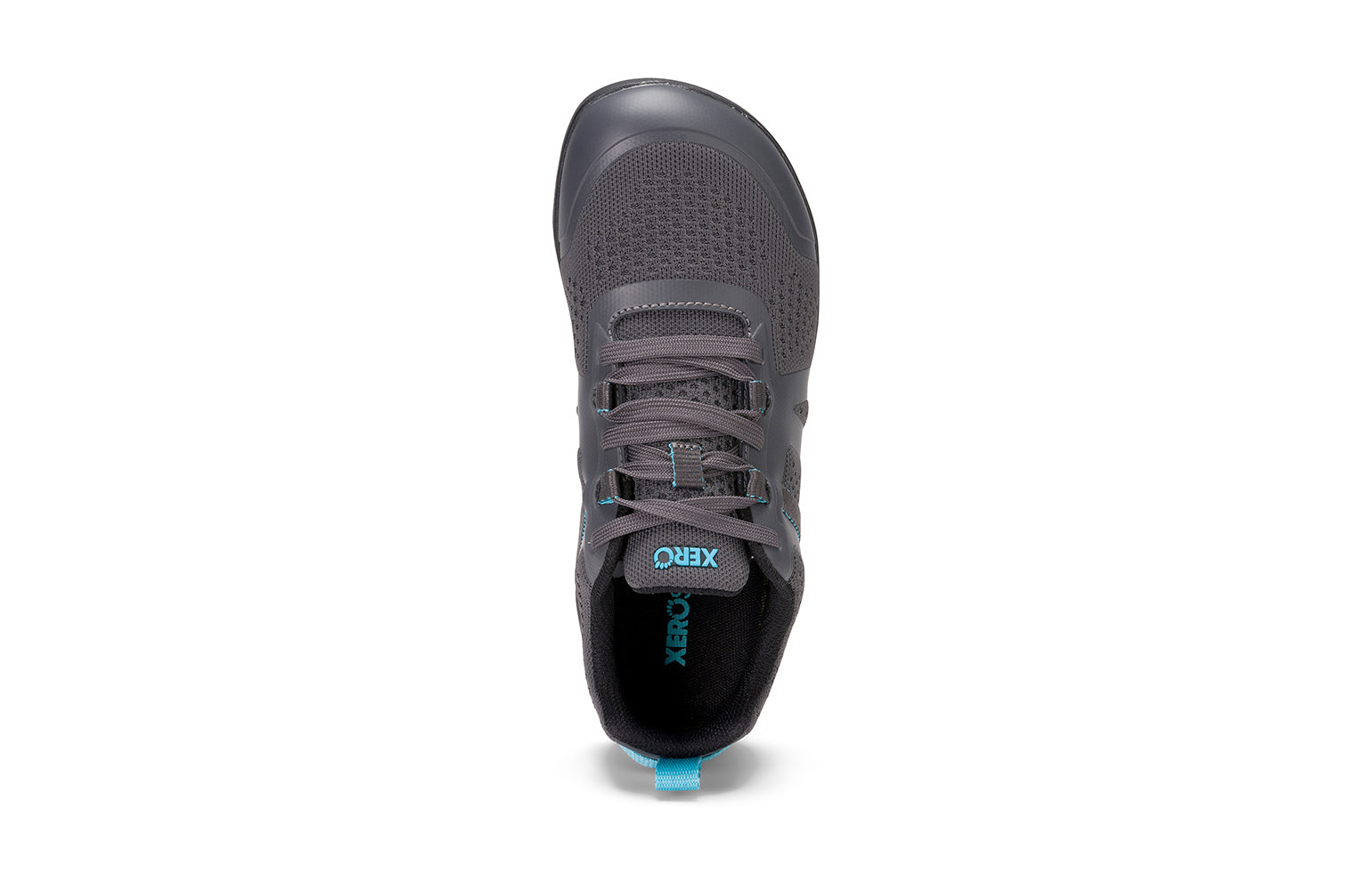 Xero Shoes Prio Neo (Damen) - asphalt / blue radiance