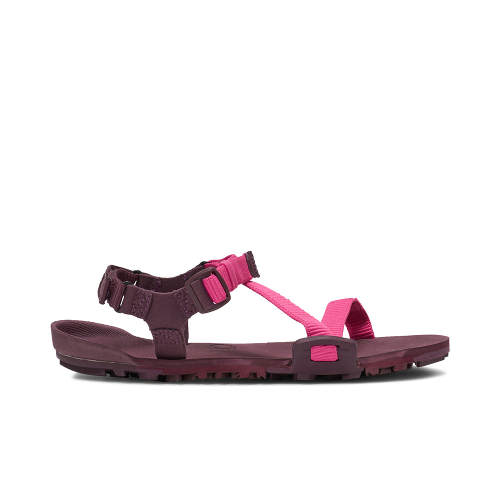Xero Shoes Z-Trail EV Sandale (Damen) - fuchsia purple - EU 37,5/US W7