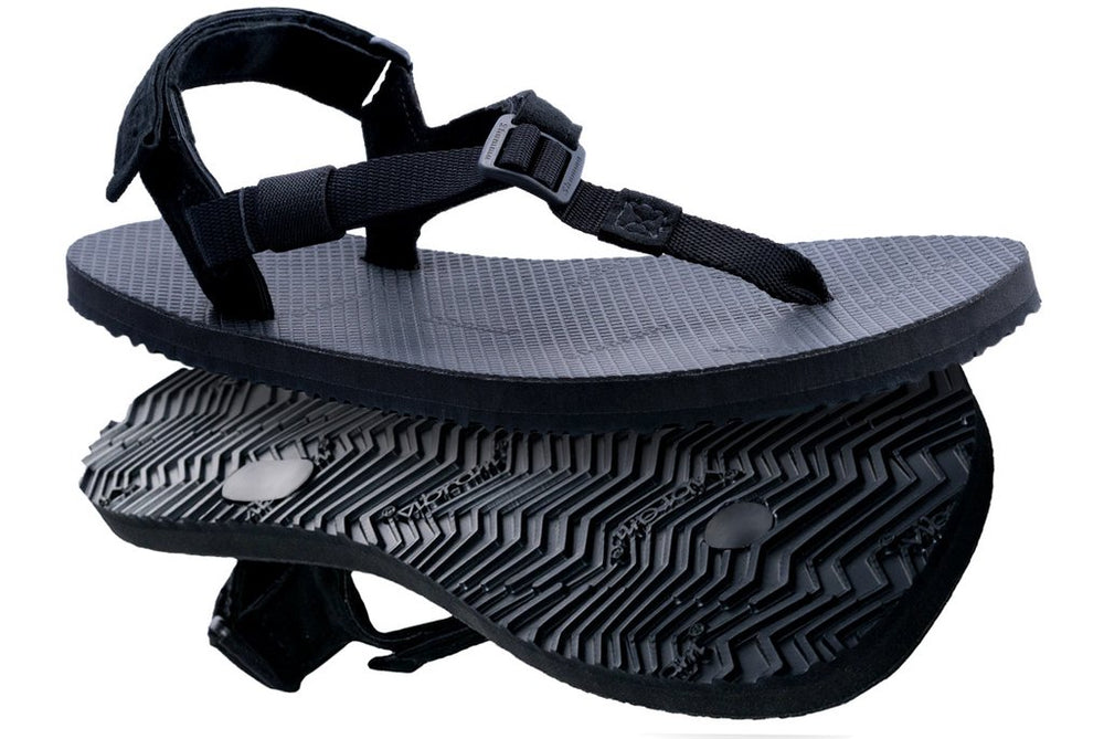 Shamma Elite Alphas (12mm)