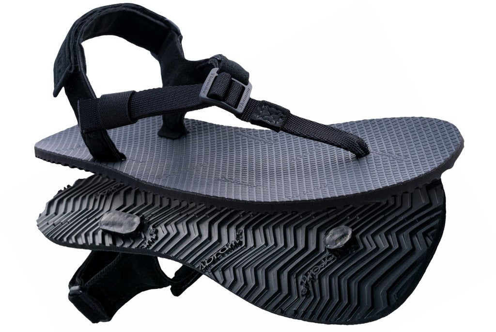 Shamma Elite Warriors (6mm)