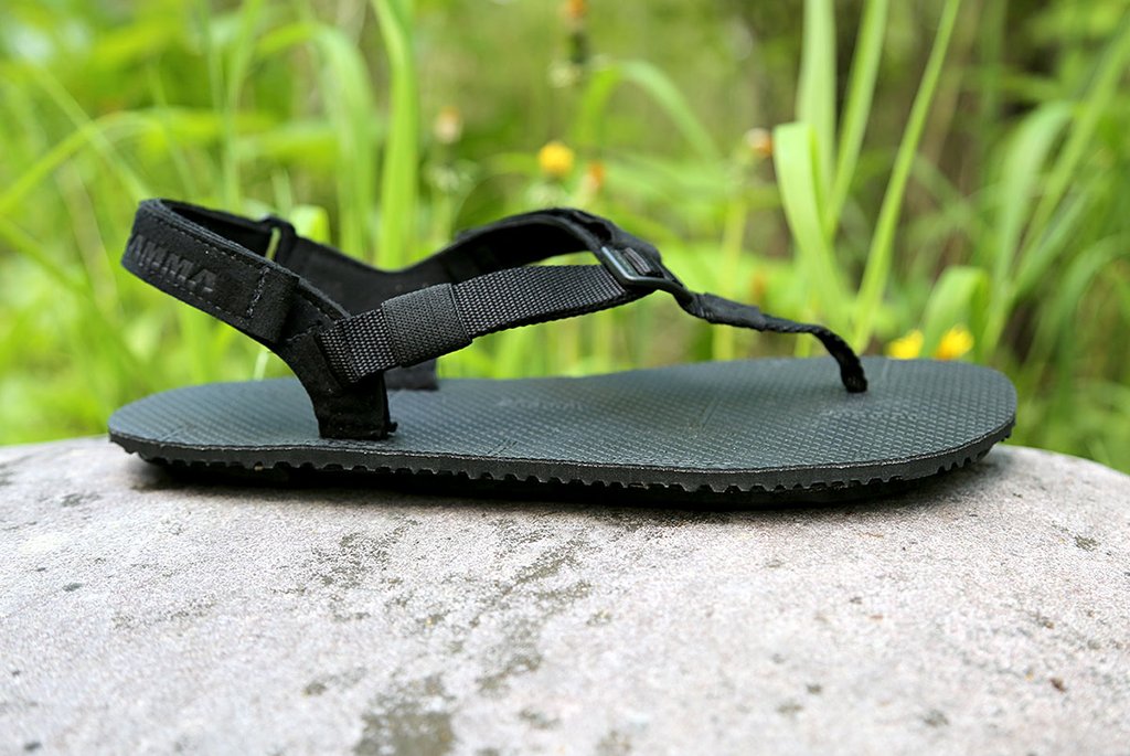 Shamma Elite Warriors (6mm)